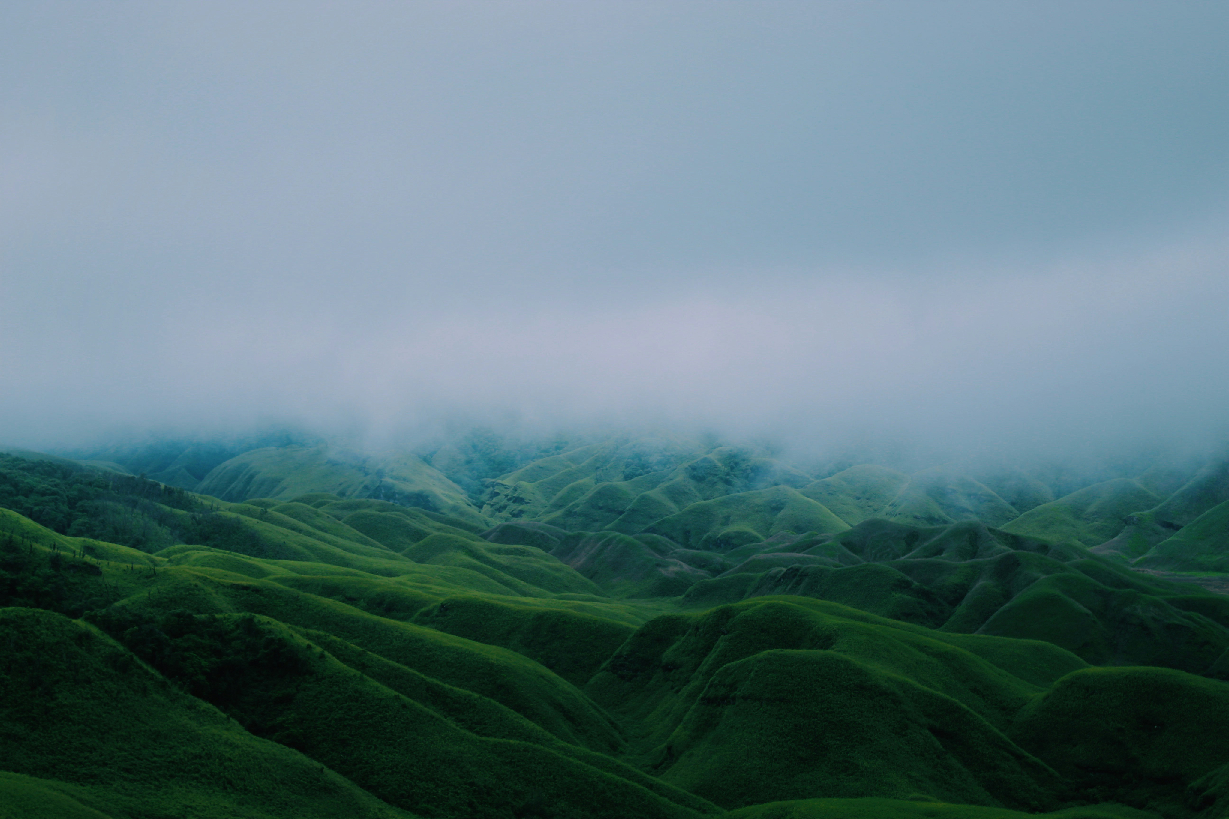 background-image